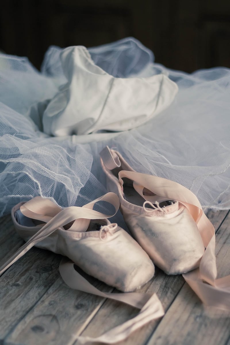 Ballet Fusion Class